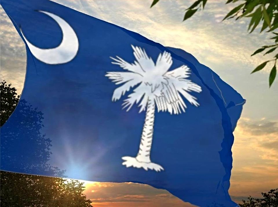 south carolina flag south carolina flag